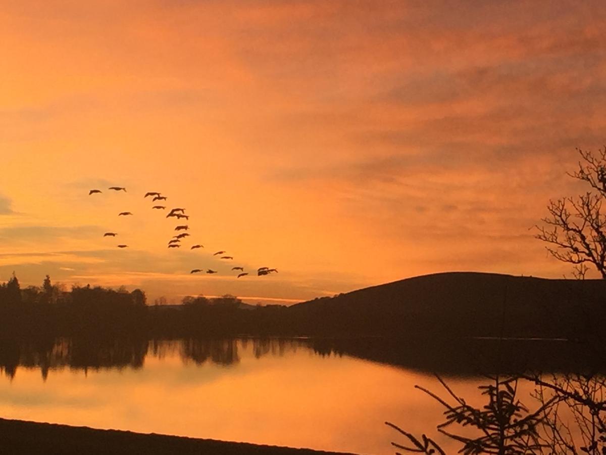 Lodge At Lochside Bridgend of Lintrathen Buitenkant foto