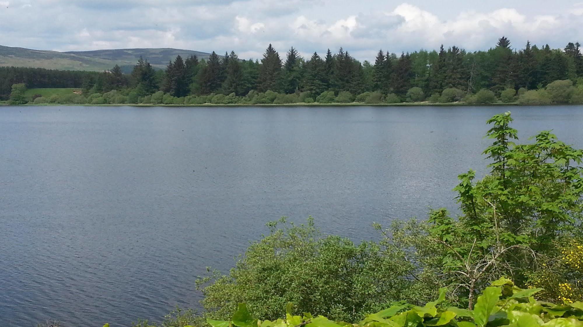 Lodge At Lochside Bridgend of Lintrathen Buitenkant foto